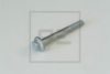 PE Automotive 030.147-00A Screw